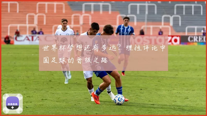 世界杯梦想还有多远?理性评论中国足球的晋级之路