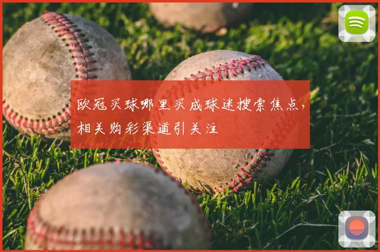 欧冠买球哪里买成球迷搜索焦点,相关购彩渠道引关注