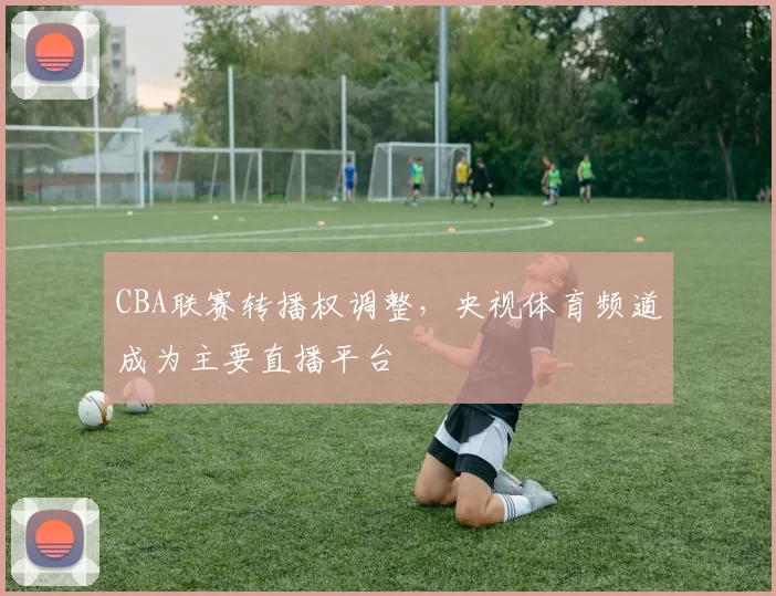 CBA联赛转播权调整,央视体育频道成为主要直播平台