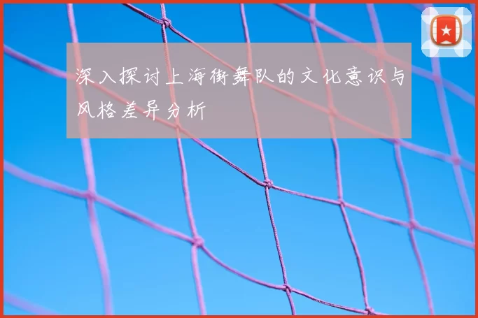 深入探讨上海街舞队的文化意识与风格差异分析