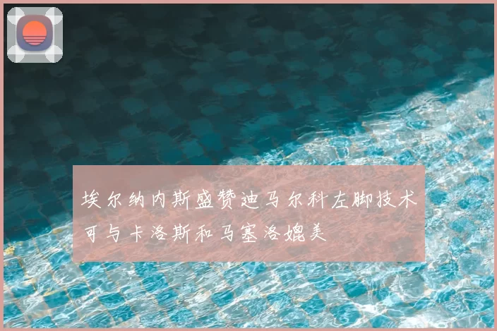 埃尔纳内斯盛赞迪马尔科左脚技术可与卡洛斯和马塞洛媲美