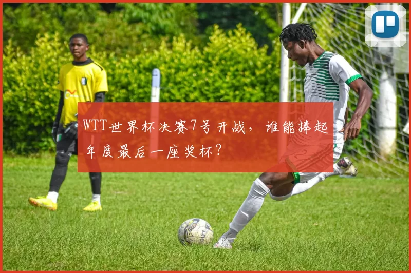 WTT世界杯决赛7号开战，谁能捧起年度最后一座奖杯？