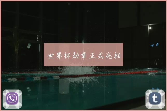 世界杯勋章正式亮相
