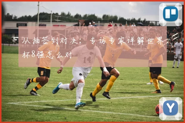 从抽签到对决:专访专家详解世界杯8强怎么对