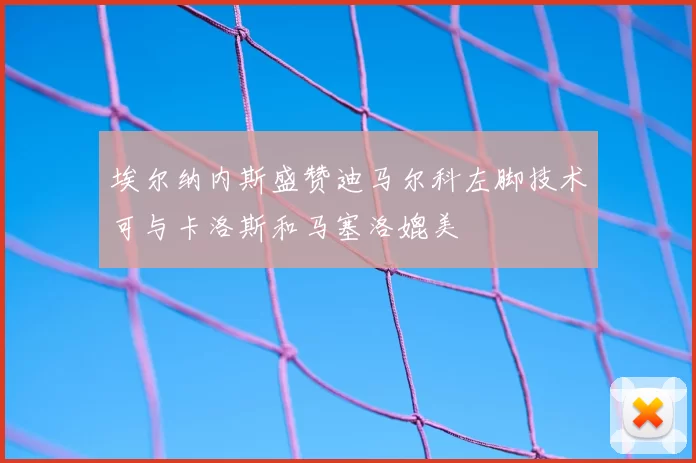 埃尔纳内斯盛赞迪马尔科左脚技术可与卡洛斯和马塞洛媲美