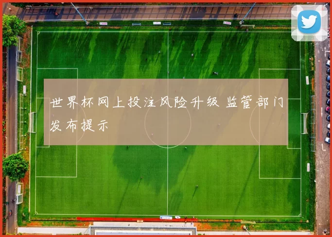 世界杯网上投注风险升级 监管部门发布提示