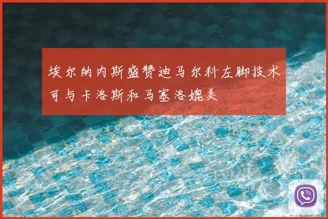 埃尔纳内斯盛赞迪马尔科左脚技术可与卡洛斯和马塞洛媲美