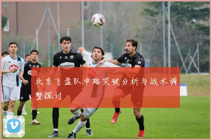 北京飞盘队中路突破分析与战术调整探讨