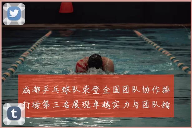 成都乒乓球队荣登全国团队协作排行榜第三名展现卓越实力与团队精神