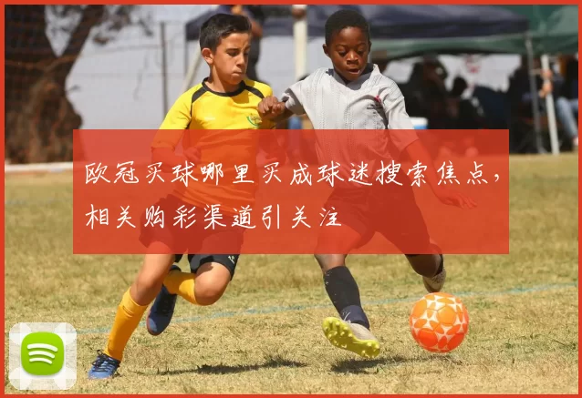 欧冠买球哪里买成球迷搜索焦点,相关购彩渠道引关注
